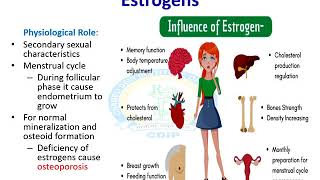 Gonadal Hormones Part 2 [upl. by Radnaxela]