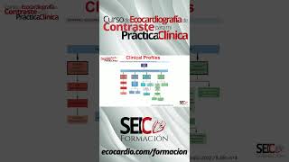 Curso de Ecocardiografía de Contraste para mi Práctica Clínica [upl. by Ocirne]