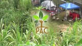 PAC  Proyecto Agroecológico Campesino [upl. by Nilad]