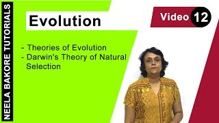 Evolution  NEET  Theories of Evolution  Darwins Theory of Natural Selection  Neela Bakore [upl. by Haikan462]