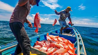 Di Serbu ikan kakap merah Mancing di laut [upl. by Barbie492]