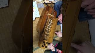 Hurdy Gurdy ハーディガーディの中身 民族楽器 [upl. by Singer]