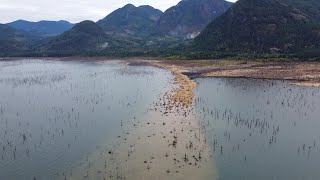 4K Drone Footage—Autumn Kayaking on Stave Lake  Beautiful British Columbia [upl. by Nnahaid798]