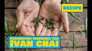 How to Make Ivan Chai  Easy Outdoors Drinks [upl. by Neelia]