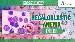 Megaloblastic Anemia  Histo pathology  RBC Morphology  English [upl. by Akins906]