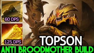 TOPSON Sand King This is Way Pro Anti Broodmother Dota 2 [upl. by Coussoule]