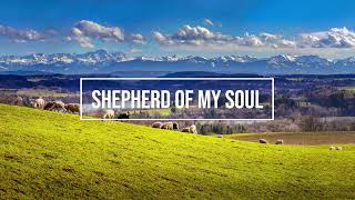 Shepherd of My Soul  Marty Nystrom  piano instrumental cover with lyrics [upl. by Sanson]