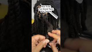 How To Two Strand Twists For Beginners  Mini Tutorial [upl. by Gemini]