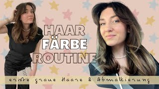 Haar Färbe Routine I Abmattierung amp 100  Grauhaarabdeckung [upl. by Alida]