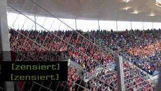 TSG Hoffenheim vs Mainz 05 Fans [upl. by Asserak]