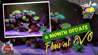 6 Month Update Good and Bad on the Fluval Evo 135 [upl. by Gnouhp]