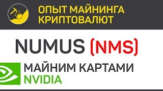 Numus NMS майним картами Nvidia algo Dedal  Выпуск 91  Биткоин  опыт майнинга криптовалют [upl. by Nevile389]