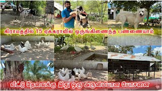 கோழிபுறாநாய்வீட்டுத்தோட்டம் விவசாயம்  oruginaitha pannai  integrated farming  vivasaya nanban [upl. by Nho]