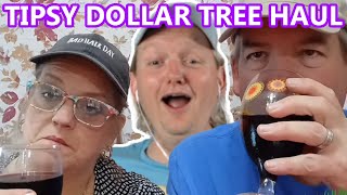 REACTING TO LISAS HAULS TIPSY DOLLAR TREE HAUL [upl. by Shaia]