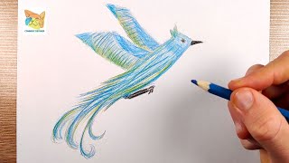 comment dessiner un oiseau du colorado [upl. by Nnaeel399]