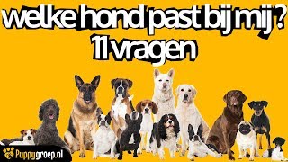 WELKE HOND PAST BIJ MIJ 11 [upl. by Airot732]