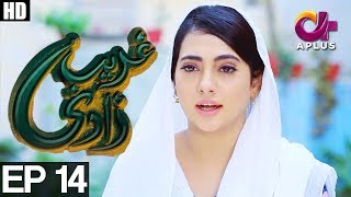 Ghareebzaadi  Episode 14  A Plus ᴴᴰ Drama  Suzzaine Fatima Shakeel Ahmed Ghazala Kaife [upl. by Eilime21]