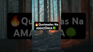 Queimadas na Amazônia O Impacto Real Amazônia Queimadas2024 Natureza CuriosidadesDaFloresta [upl. by Massingill]