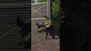 Sinoceratops ‘Chinese horned face’jurassicworldevolution2 [upl. by Naicad]