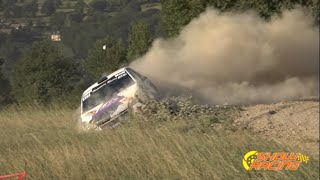 Rallye Terre de Lozère 2024  Best of Day 1  Show Racing [upl. by Blakelee475]