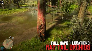 Red Dead Redemption 2  ALL 12 Rat Tail Orchids Locations amp Maps COMPLETE  RDR2 [upl. by Leverett]