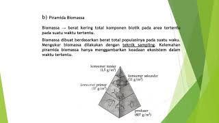 PIRAMIDA EKOLOGI MATERI BIOLOGI KELAS 10 SEMESTER 2 [upl. by Assirrak]