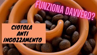 CIOTOLA ANTI INGOZZAMENTO SERVE DAVVERO FACCIAMO UN TEST CON IL MIO CANE [upl. by Colley]