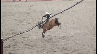 Cheyenne Frontier Days  July 22 2017 [upl. by Manaker]