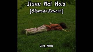 Jiunu Nai Hola  Tribal Rain SlowedReverb by ZimMok [upl. by Klump]