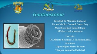 Parasitología Gnathostoma en menos de 5 minutos [upl. by Kamillah467]