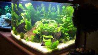 Viaaqua AR620 New Aquarium Setup [upl. by Yznyl34]