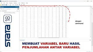 STATA Membuat Variabel Baru Hasil Penjumlahan Antar Variabel [upl. by Yerffoeg93]