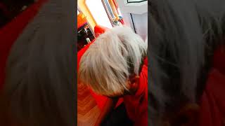 black hair to platinum blond hair color transformation [upl. by Elysia]