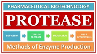 PROTEASE ENZYME  PART1  TYPES  CLASSIFICATION  ROLE OF ENZYME  FUNCTION [upl. by Mayyahk]