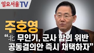 주호영 quot北 무인기 군사 합의 위반 공동결의안 즉시 채택하자quot [upl. by Annoynek]