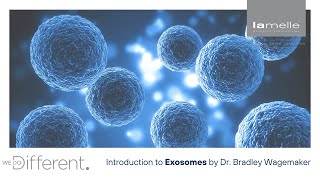 Lamelle Research Laboratories Introduction to Exosomes with Dr Bradley Wagemaker [upl. by Neenaej]