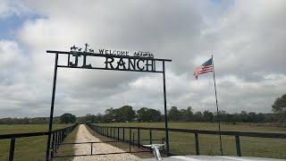 Longhorn Lesters is at JL Ranch [upl. by Morie869]