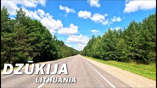 Drive in Dzūkija • Alytus to Prienai • 🇱🇹 [upl. by Ano586]