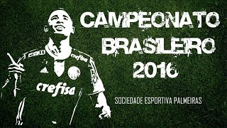 Brasileiro 2016  Melhores Momentos do Palmeiras Do 1º jogo até a Grande Final [upl. by Casar377]