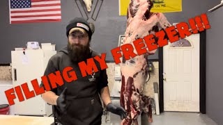 FILLING MY FREEZER Full deer breakdown butcher deer deerprocessing [upl. by Bahr]