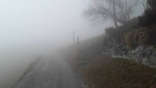 1080p Video December Fog Walk In The Fog [upl. by Aztiray]