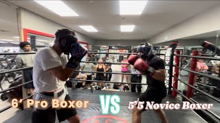 PRO Boxers vs NOVICE  BLOW for BLOW Sparring [upl. by Nereil244]