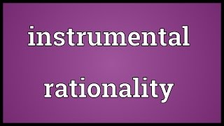 Instrumental rationality Meaning [upl. by Yonita]