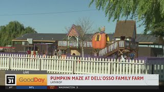 DellOsso Family Farms Lathrop [upl. by Jorin]