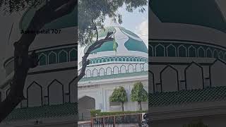 Nalchha Sharif dargah new video status 2024 dhar [upl. by Llednew]