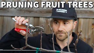 How To Prune Fruit Trees For SMALL Size And MAXIMUM Production [upl. by Conners491]