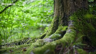 musique relaxante anti stress reposante douce forets nature instrument [upl. by Aronek]