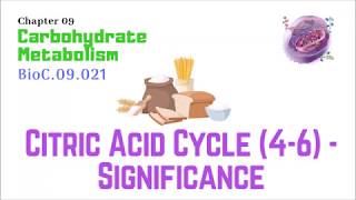 BioC09021Citric Acid Cycle 46 – Significance  Dr Prashant Sharma [upl. by Petie231]