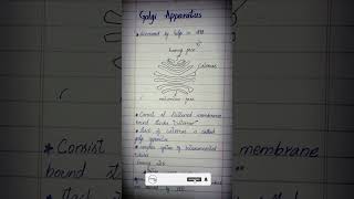 Golgi Apparatus Explained Class 11 Biology  Structure Function amp More  Urduhindi [upl. by Nnaarual315]