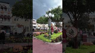 Walt Disney World Magic Kingdom Fall Decor on Mainstreet USA [upl. by Ynaffit]